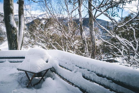 Pure Chalet Thredbo - Tourism Guide 19