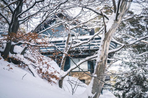 Pure Chalet Thredbo - Tourism Guide 27