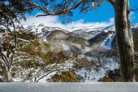 Pure Chalet Thredbo - Tourism Guide 17