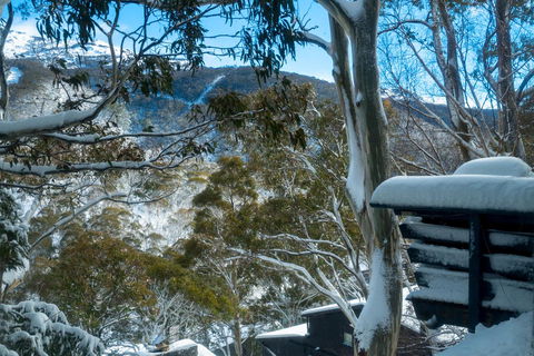 Pure Chalet Thredbo - Tourism Guide 30