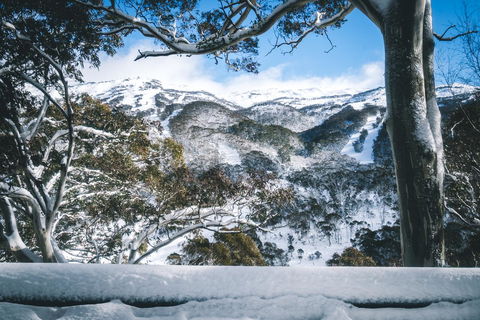 Pure Chalet Thredbo - Tourism Guide 2