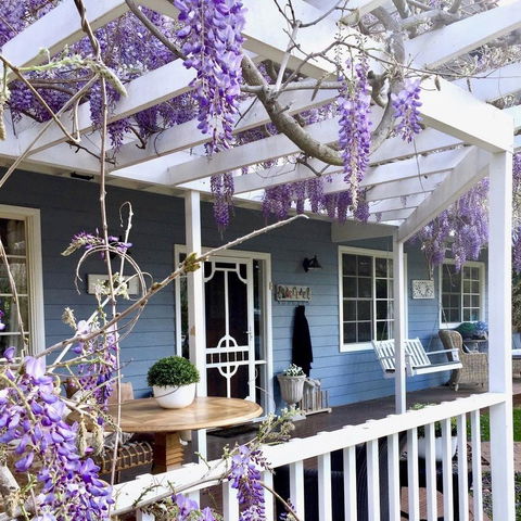 Bowral Escape - Travel Search 1