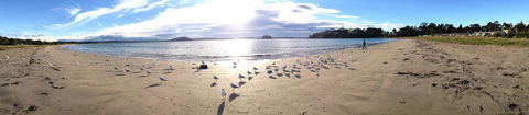 Corrigans Cove - Travel Search 2
