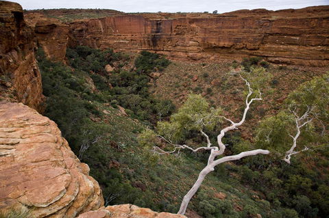 Kings Creek Station - Tourism Guide 15