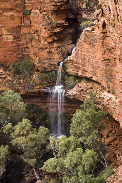 Kings Creek Station - Tourism Guide 0