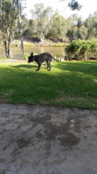 Captain's Cottage Bed  Breakfast