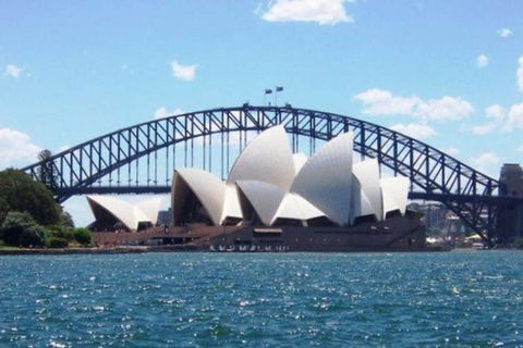 Carramar Studio KingBed PrivateRm 1 Min To Station - STUDIO - Cruises Travel 2