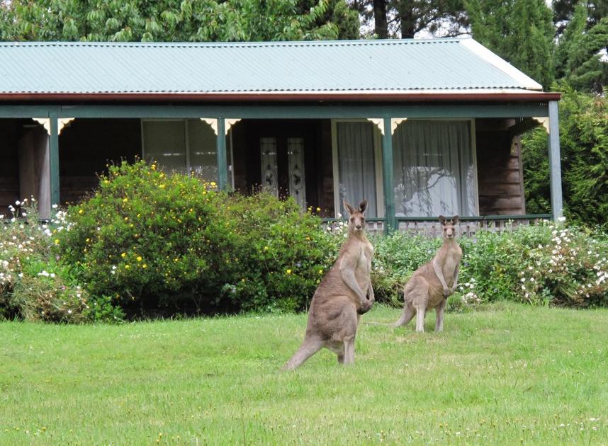 Mount Victoria NSW Tourism Guide