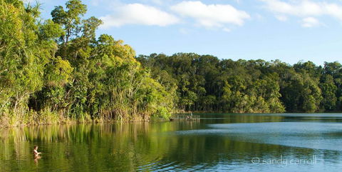 Chambers Wildlife Rainforest Lodges - Cruises Travel 1