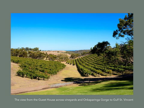 Chapel Hill Winery Guest House - Travel Search 1