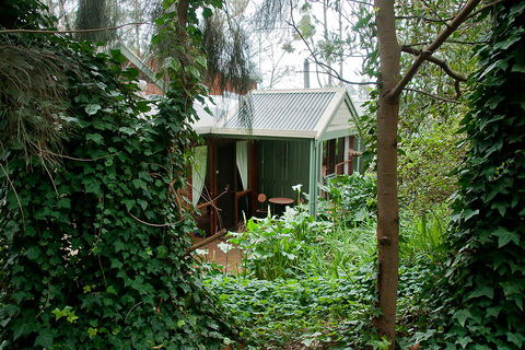 Clarendon Chalets - Cruises Travel 0