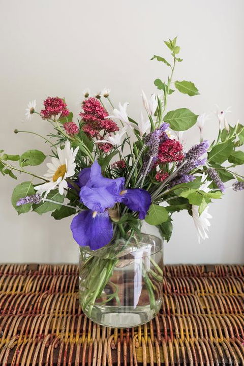 Clonmara Country House And Cottages - Travel Search 3