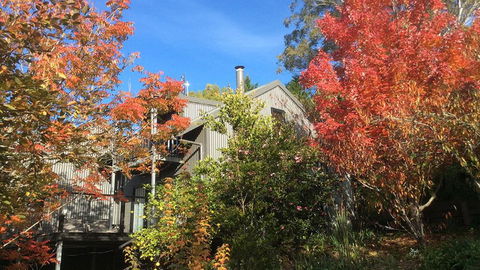 Cloudsong Chalet 4 - Close To The Village Centre! - Cruises Travel 0