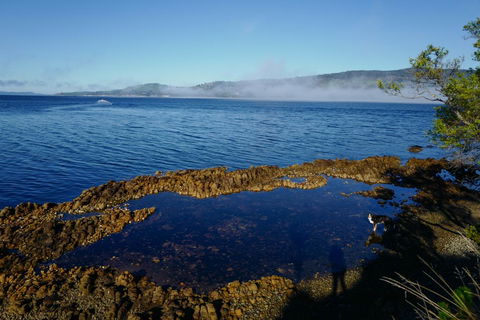 Coast House Tasmania - Travel Search 2