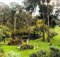 Countryside Retreat Intimate Studio Hepburn - Daylesford - Tourism Guide