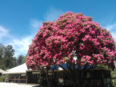 Crossways Country Inn - Tourism Guide 0