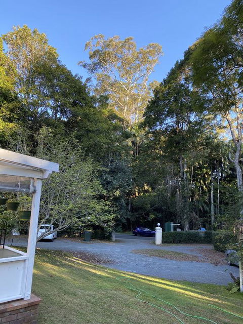 Curtis Falls Studio-Apartment - Travel Search 3