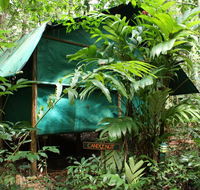 Daintree Crocodylus - Travel Agents
