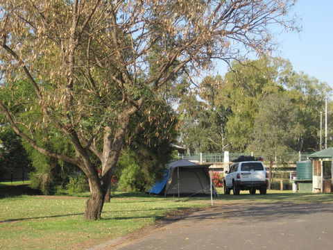 Dalby Tourist Park - Tourism Guide 3