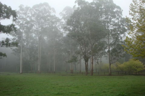 Dingley Dell - Travel Search 2
