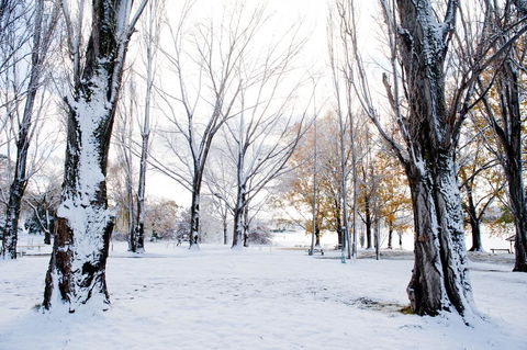 Discovery Parks - Jindabyne - Tourism Guide 3