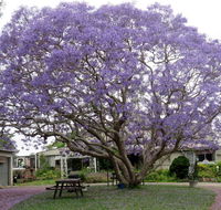 Ecotel Narooma - Travel Agents