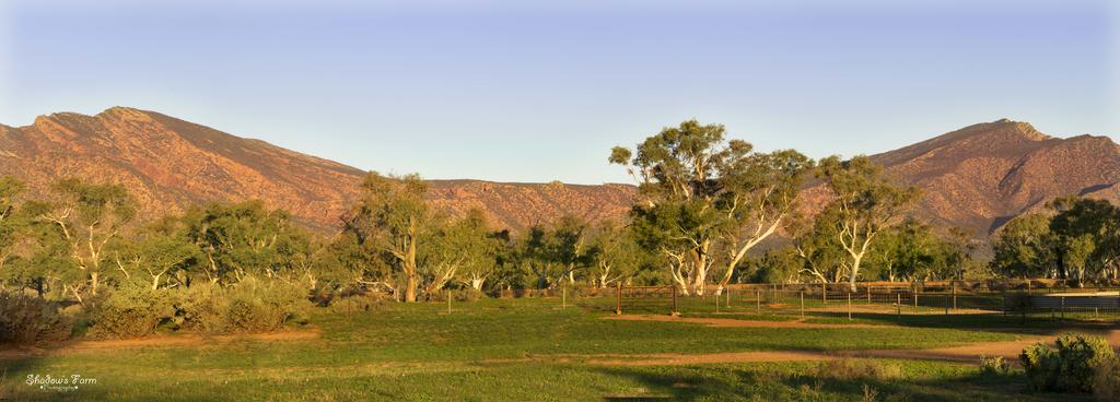 Flinders Ranges SA Travel Search