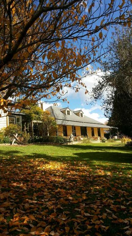 Eling Forest Winery - Tourism Guide 3