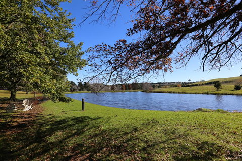 Eling Forest Winery - Tourism Guide 1