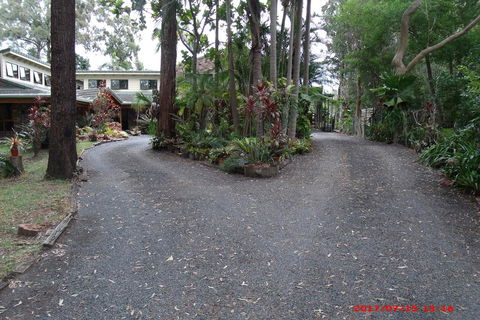 Emerald Tropical Palms B & B - Travel Search 3