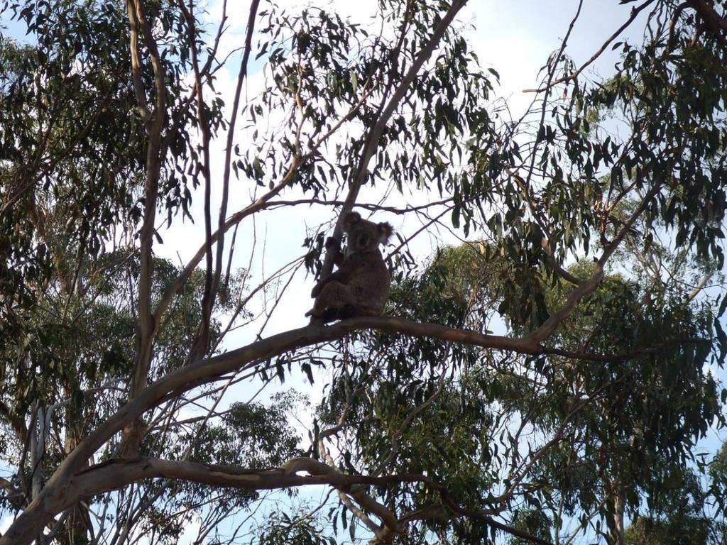 Kilbirnie QLD Cruises Travel