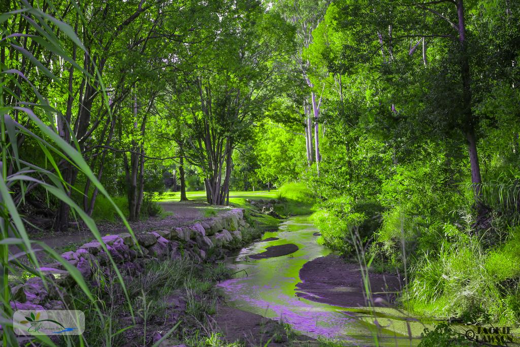 Esk QLD Cruises Travel