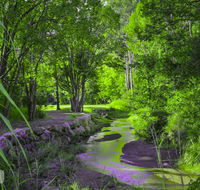 Esk Caravan Park  Rail Trail Motel - Tourism Guide