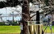 Glenelg Getaway 3 Bedroom Apartment - thumb 3