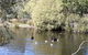 Gosnells Homestay - thumb 3
