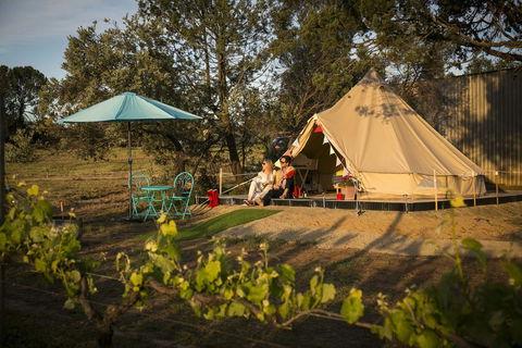Grapevine Glamping - Travel Search 0