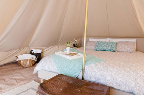 Grapevine Glamping - Travel Search 1
