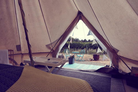 Grapevine Glamping - Travel Search 3