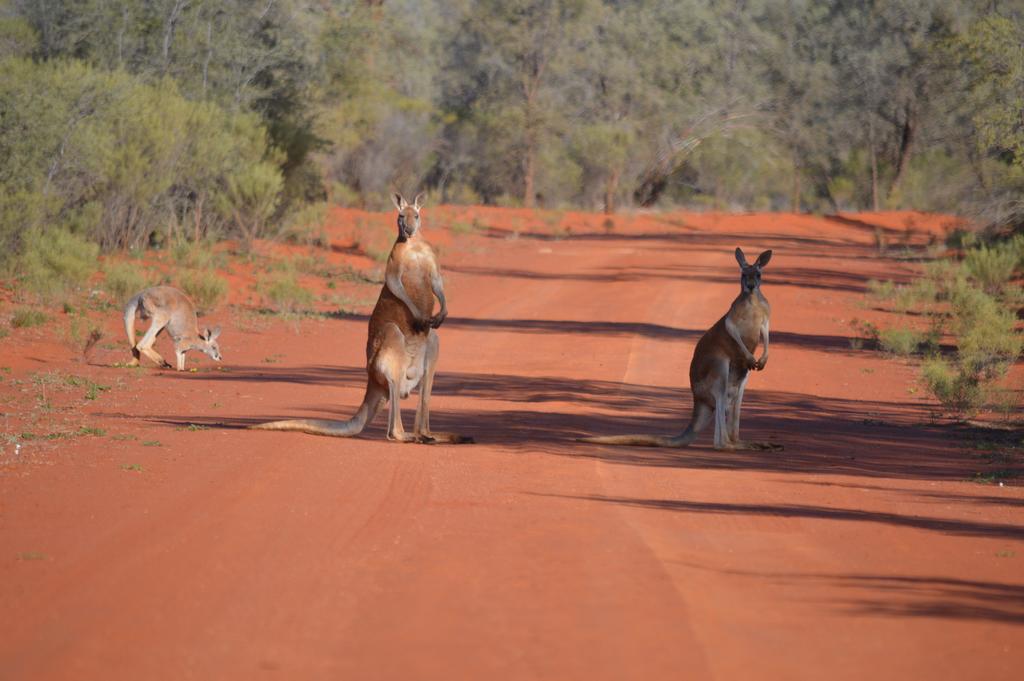 Gunderbooka NSW Cruises Travel