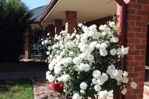 Gundaroo Manor Bed & Breakfast - Cruises Travel 3