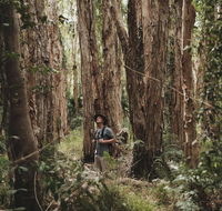 Habitat Noosa - Tourism Guide