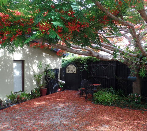 Hilltop B&B - Tourism Guide 2