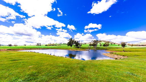 Hillview Farmstay - Cruises Travel 0