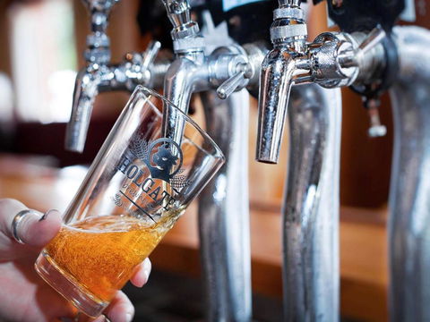 Holgate Brewhouse - Tourism Guide 0