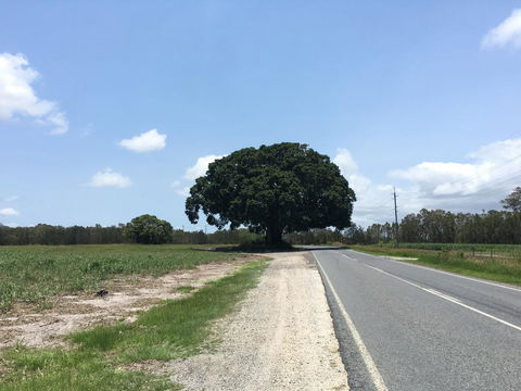 Jacobbs Well - Travel Search 1