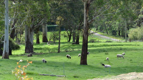 JAN'S ART STUDIO AT ASHBY RISE - Tourism Guide 0