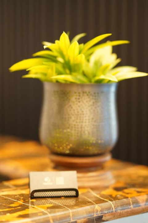 Jephson Hotel & Apartments - Tourism Guide 3