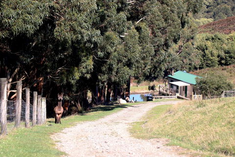 Johanna River Farm & Cottages - Tourism Guide 1