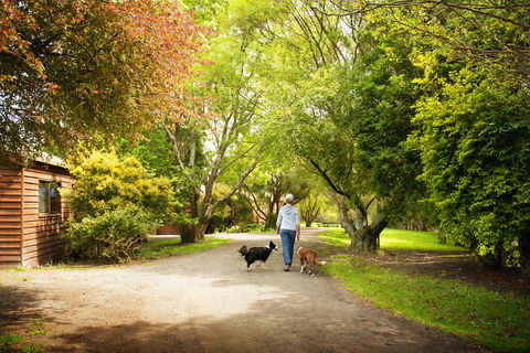Johanna River Farm & Cottages - Tourism Guide 0
