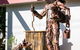 Jolly Swagman Acccommodation Park - thumb 3